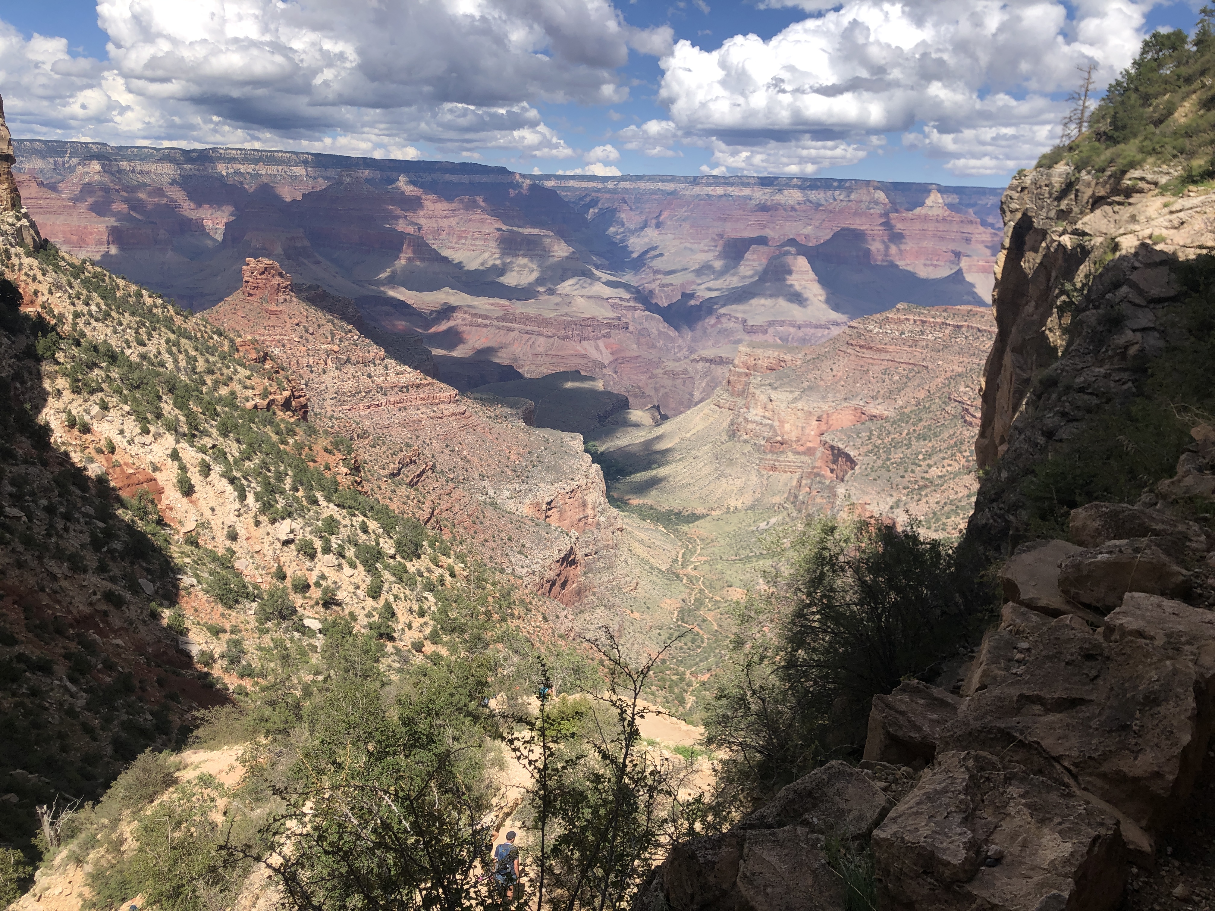 The Grand Canyon, taken from the rim looking down